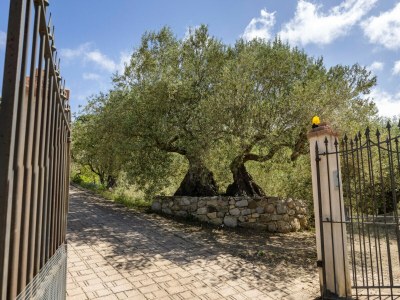 Villa Villa Granci con Piscina - Environment photo 29