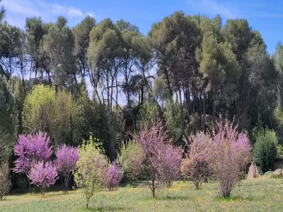 Holiday house Geräumiges Ferienhaus mit privatem Pool und Park - Outdoor photo 4