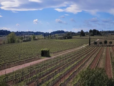 Holiday house Geräumiges Ferienhaus mit privatem Pool und Park - Environment photo 35