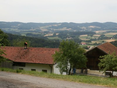 Holiday apartment Stautner - Outdoor photo 2