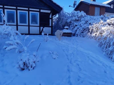 Holiday house Ferienhaus am Rothaarsteig - Outdoor photo 9