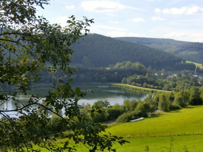 Holiday house Ferienhaus am Rothaarsteig - Environment photo 30