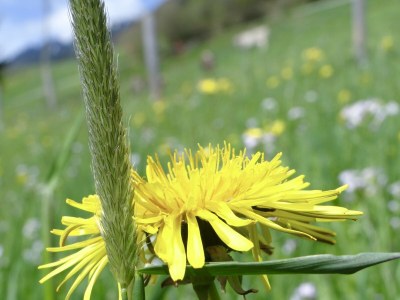 Holiday apartment Epple-Beck - Outdoor photo 8