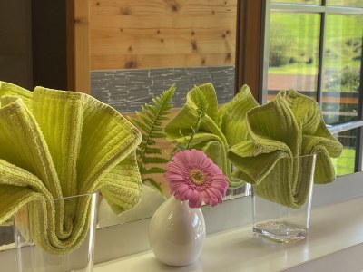 Holiday apartment Epple-Beck - Features photo 15