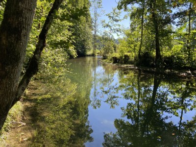 Holiday apartment Epple-Beck - Environment photo 28