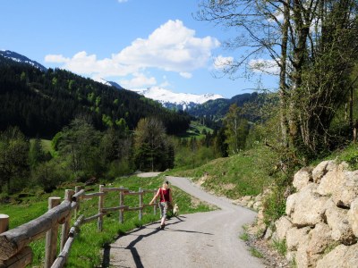 Holiday apartment Epple-Beck - Environment photo 29