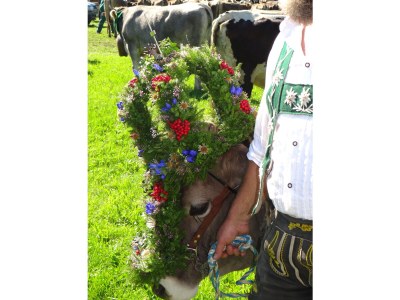 Holiday apartment Epple-Beck - Environment photo 34