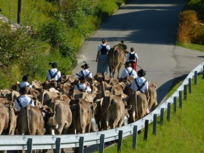 Holiday apartment Epple-Beck - Environment photo 36