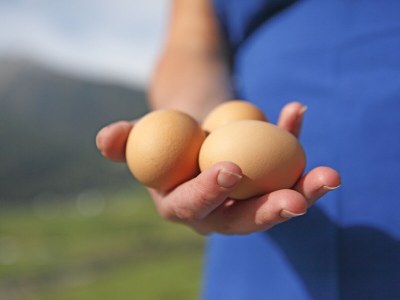 Holiday apartment Gapphof 2 - Outdoor photo 10