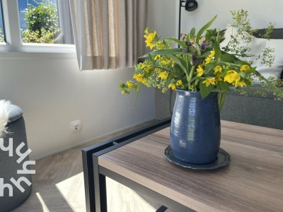 Chalet Gapinge - ZE1415 - Features photo 6