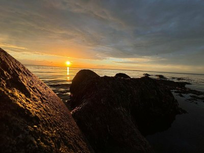 Holiday house 12 person holiday home in Nordborg - Outdoor photo 36