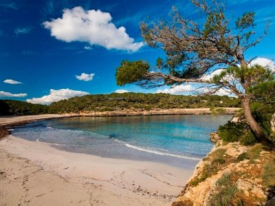 Villa Villa near Cala Tropicana with Pool - Environment photo 30
