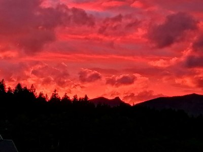 Apartment Ferienwohnung Donnerkogel - Outdoor photo 11