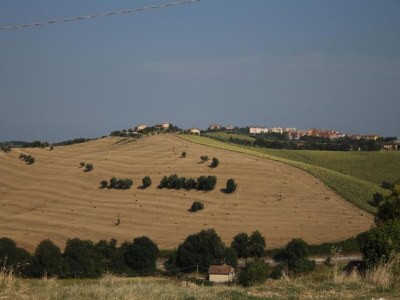Holiday house Farmhouse Tent in Marche near Adriatic Sea - Environment photo 24