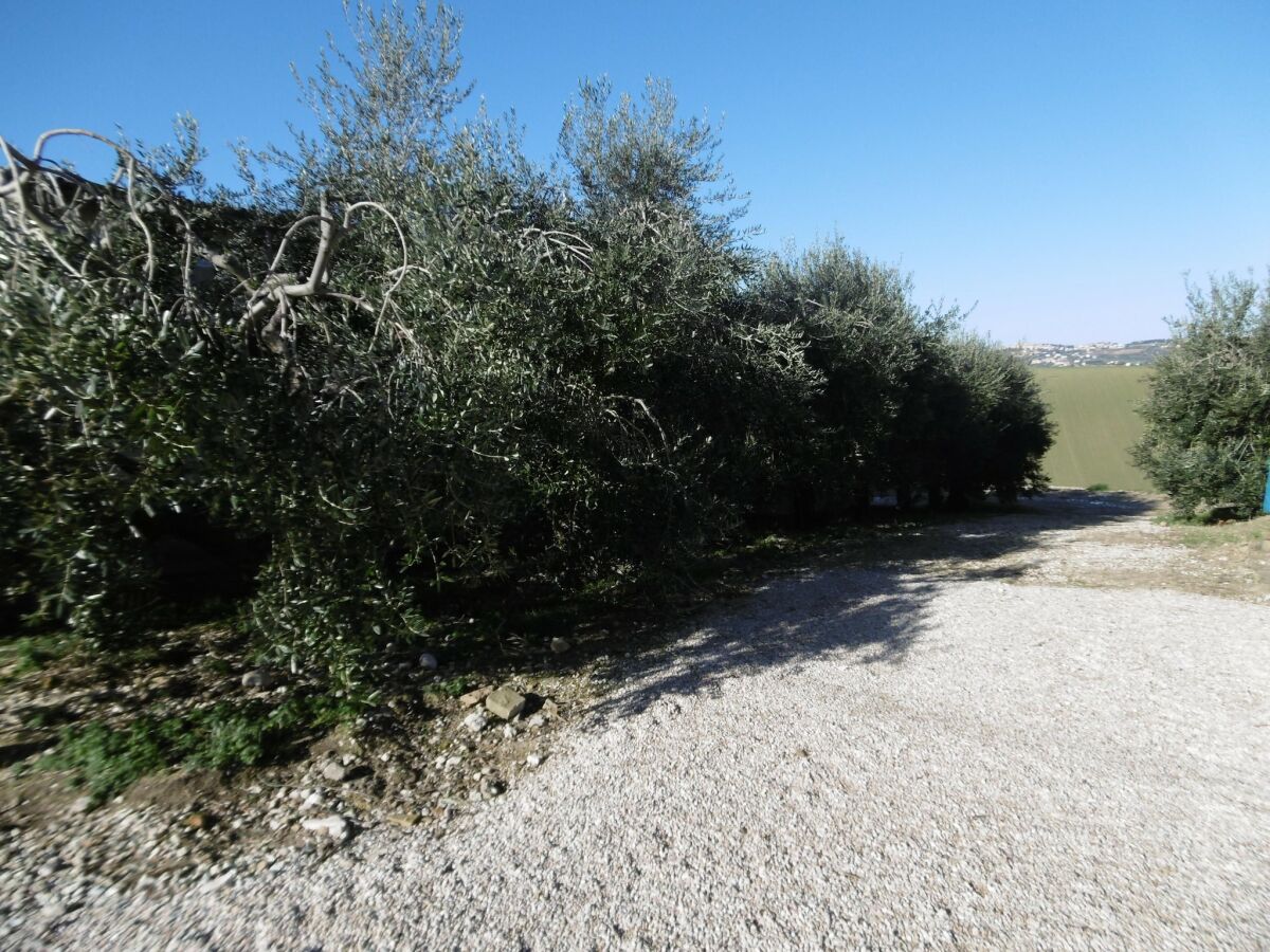 Apartment Bauernhaus in Marche mit Pool am Meer - Outdoor photo 2