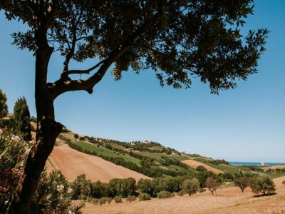 Apartment Bauernhaus in Marche mit Pool am Meer - Environment photo 25
