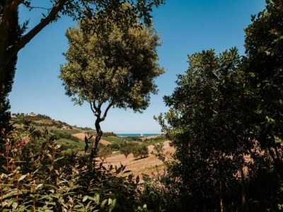 Apartment Bauernhaus in Marche mit Pool am Meer - Environment photo 37