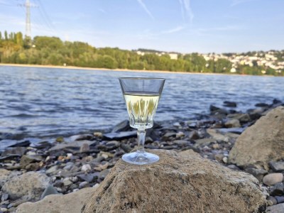 Holiday apartment RheinblickNOW - Outdoor photo 8