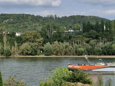 Holiday apartment RheinblickNOW - Outdoor photo 14