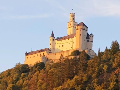 Holiday apartment RheinblickNOW - Environment photo 38