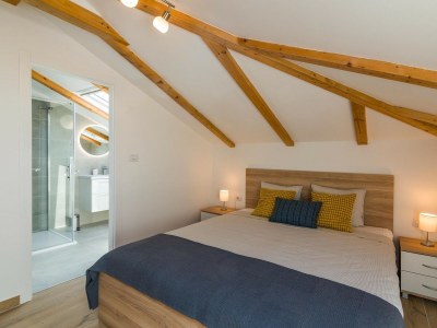 Villa Villa Istria AD 1749 - Features photo 14