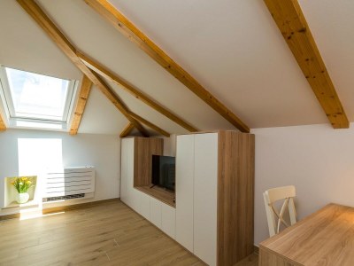 Villa Villa Istria AD 1749 - Features photo 22