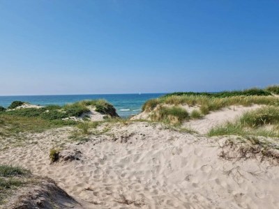 Holiday house 12 Personen Ferienhaus in Læsø - Outdoor photo 32