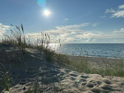 Holiday house 12 Personen Ferienhaus in Læsø - Outdoor photo 38