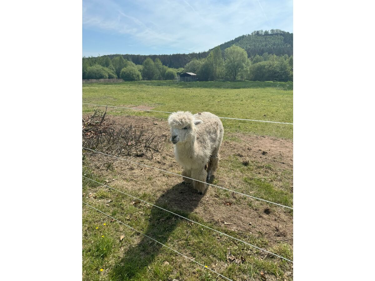 Apartment Ferienhaus, Dusche und Bad, WC, 3 Schlafräume - Outdoor photo 5