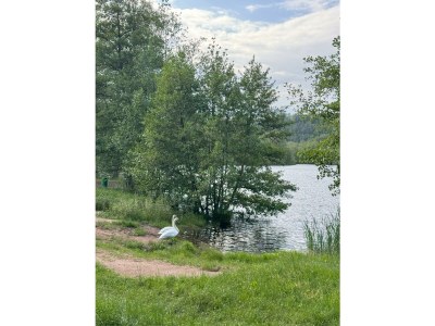 Apartment Ferienhaus, Dusche und Bad, WC, 3 Schlafräume - Outdoor photo 8