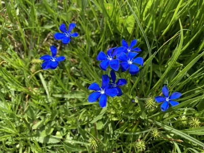 Apartment Kreuzstube - Outdoor photo 11