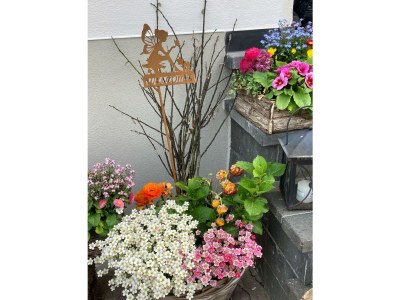 Apartment Ferienhaus Therese - Outdoor photo 15