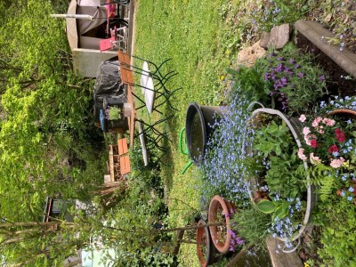 Apartment Ferienhaus Therese - Outdoor photo 17