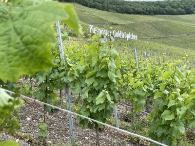 Apartment Ferienwohnung Weller - Outdoor photo 3