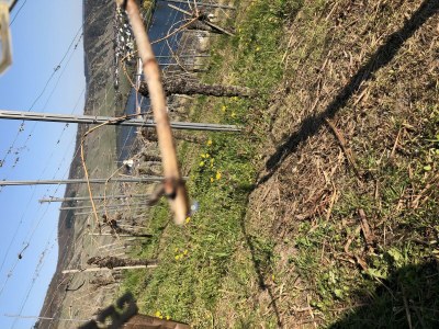 Apartment Ferienwohnung Weller - Outdoor photo 5