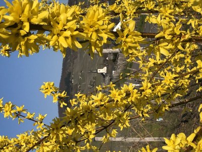 Apartment Ferienwohnung Weller - Outdoor photo 6
