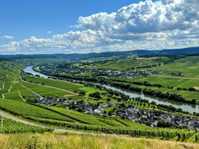 Apartment Die Wohlfühloase an der Mosel - Outdoor photo 7