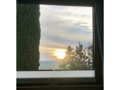 Apartment Die Wohlfühloase an der Mosel - Features photo 12