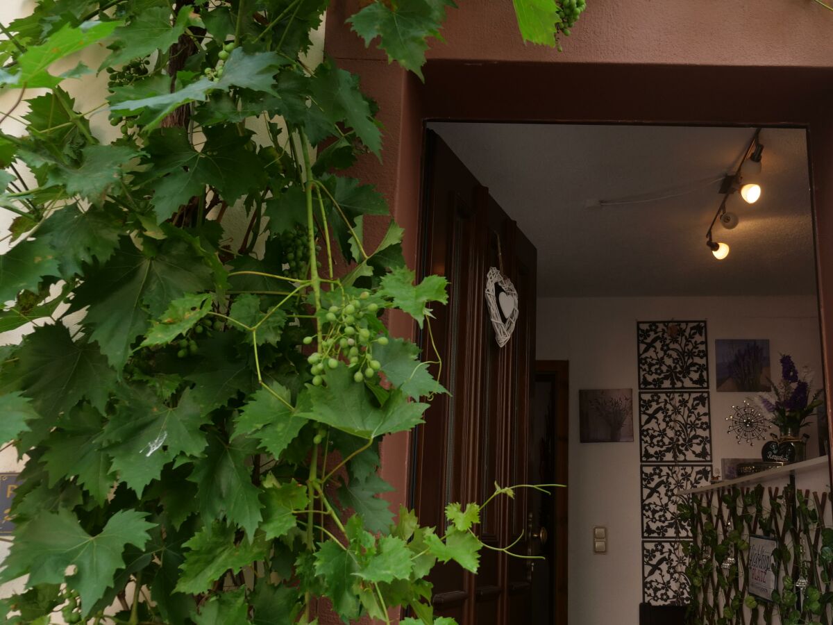 Apartment Ferienwohnung - Outdoor photo 4