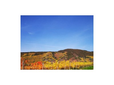 Apartment Fewo "Zwo" - Outdoor photo 25