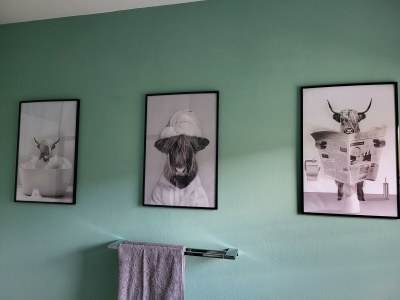 Apartment Fewo "Zwo" - Outdoor photo 37