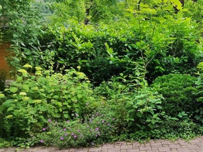 Apartment Ferienwohnung "Tropic" - Outdoor photo 14