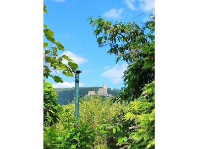 Apartment Ferienwohnung "Tropic" - Outdoor photo 15