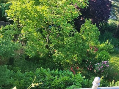 Apartment Ferienwohnung "Tropic" - Features photo 20