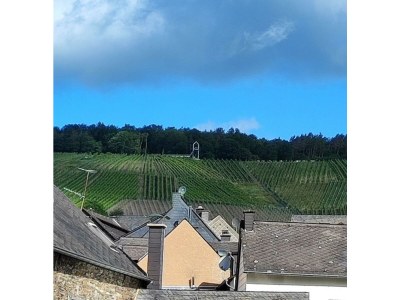 Apartment Ferienwohnung "Tropic" - Features photo 35