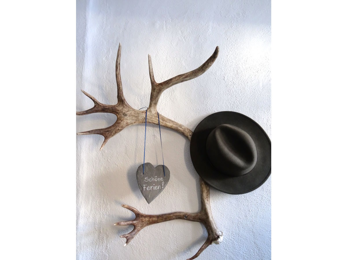 Holiday apartment Bauernhaus in der Bachstraße - Features photo 3