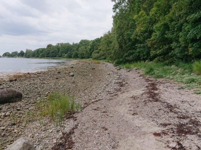 Holiday house 5 person holiday home in Aabenraa-By Traum - Outdoor photo 22