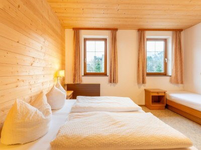 Holiday house Haus in Fügen nahe Zillertal Skipisten - Features photo 12