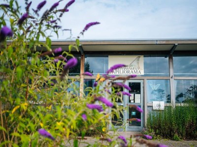 Holiday house Ferienhaus in Havelte mit Pool für 40 Von Belvilla - Environment photo 30