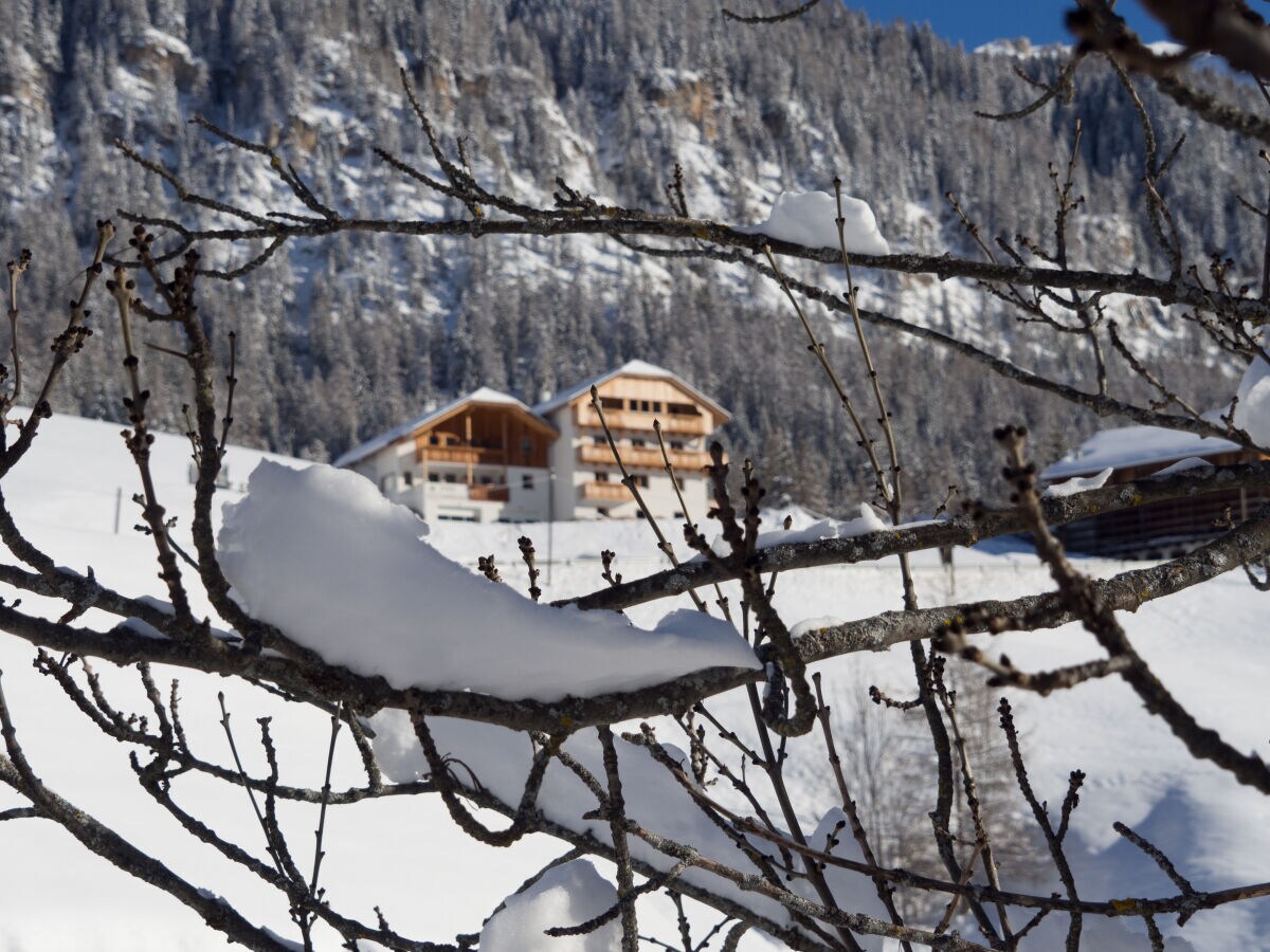 Holiday apartment Miribunghof - Outdoor photo 4